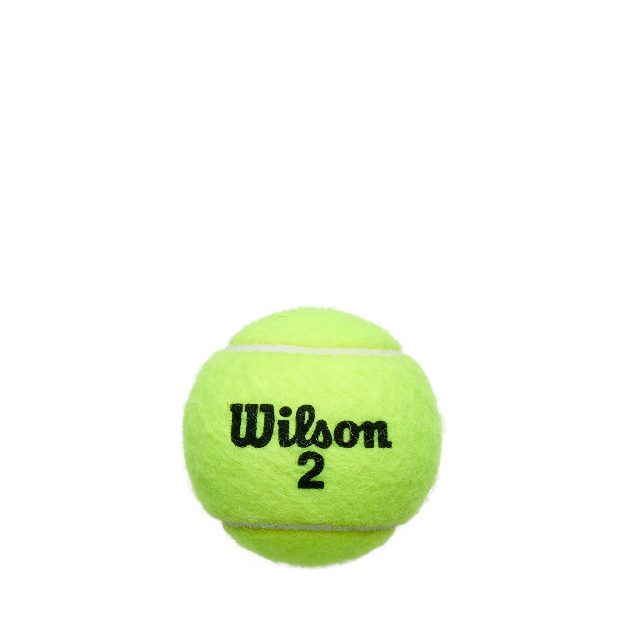 4 balls tube clay court Wilson x Roland Garros- yellow | Roland