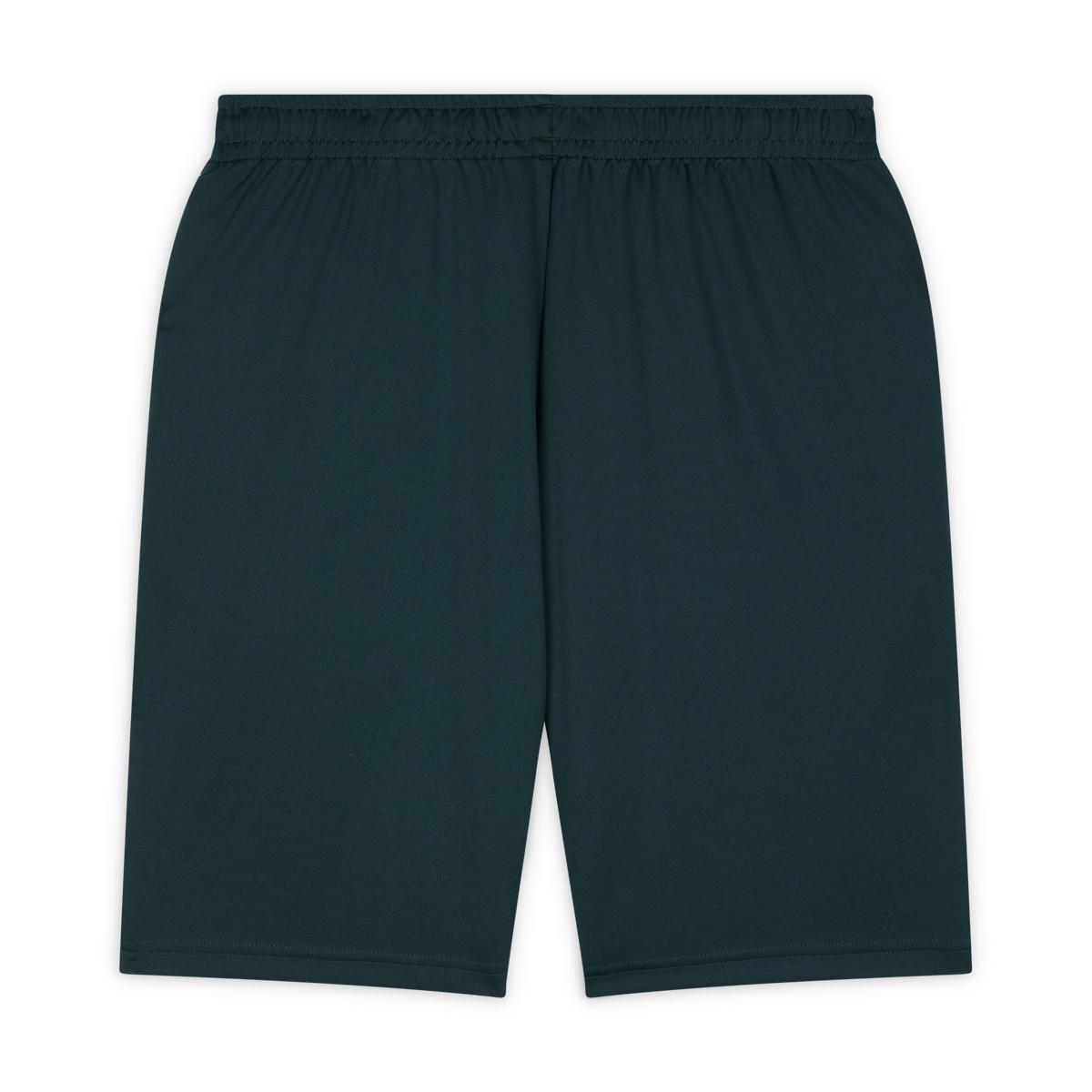Men's Lacoste Sport Roland Garros Edition Flannel Shorts | Roland