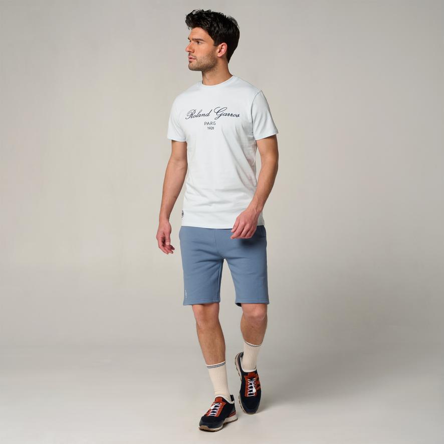 【希少】ROLAND GARROS PARIS GRIFTシャツXL 0e39fae5025411bfd8621d649a31d0