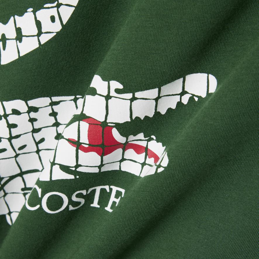 Lacoste x Roland-Garros Performance men T-Shirt - Green | Roland